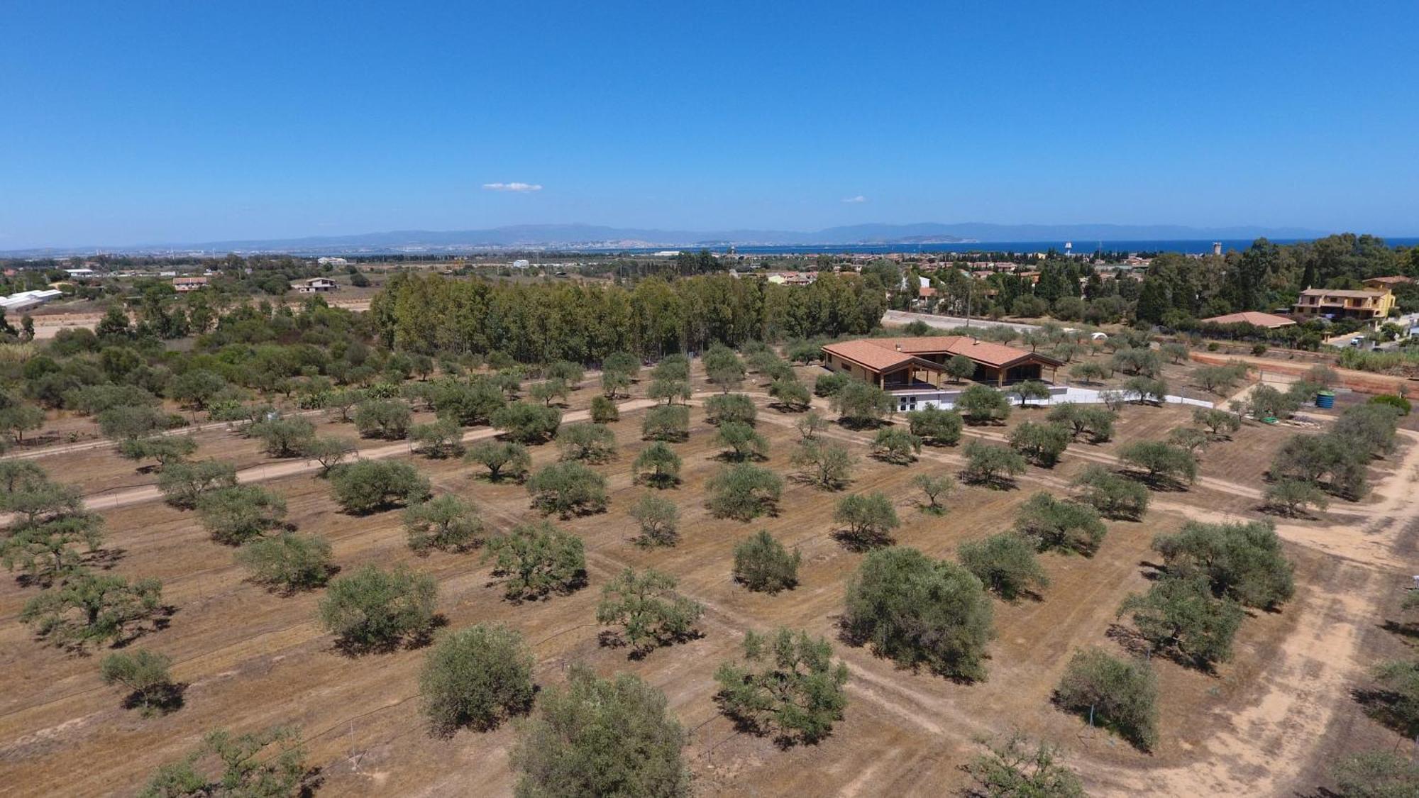 Agriturismo Corte Degli Ulivi Capoterra Exterior foto